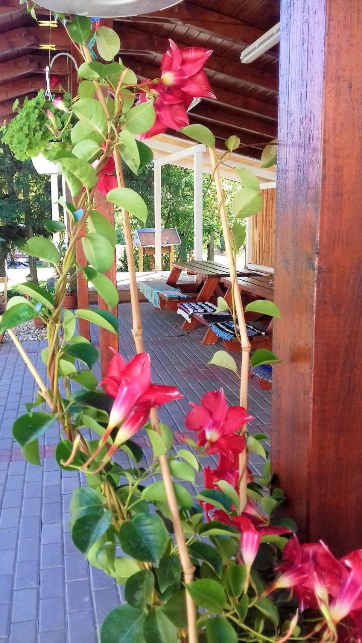 Kristaly Vendeghaz Otel Bogács Dış mekan fotoğraf