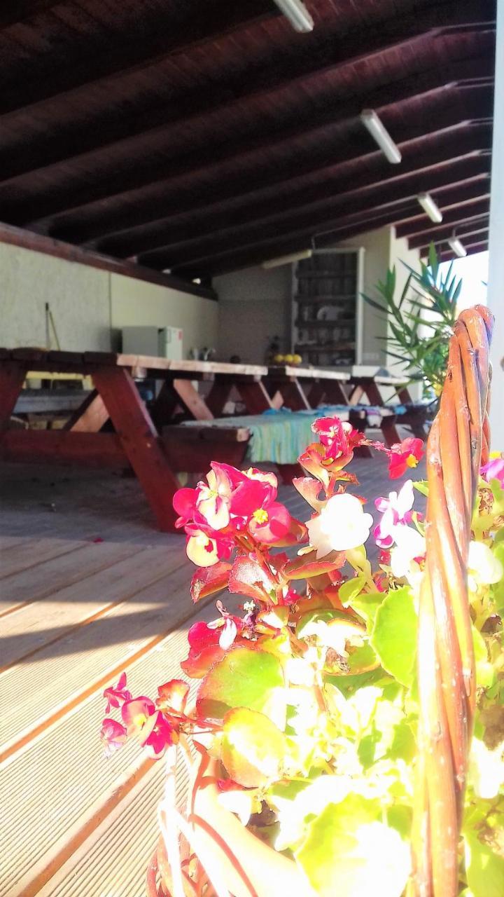 Kristaly Vendeghaz Otel Bogács Dış mekan fotoğraf